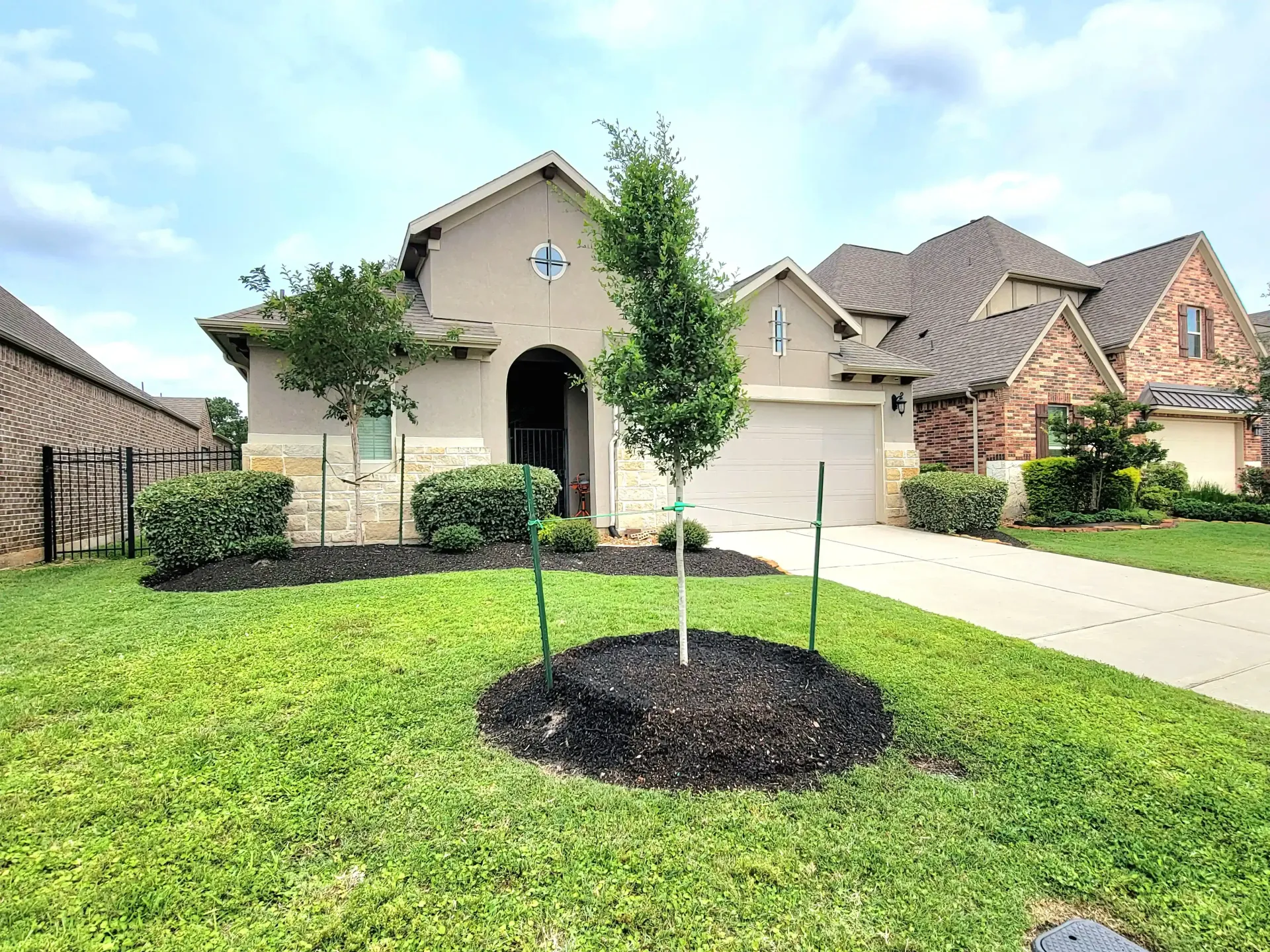 Tree Planting Spring TX | Texas Tree Care