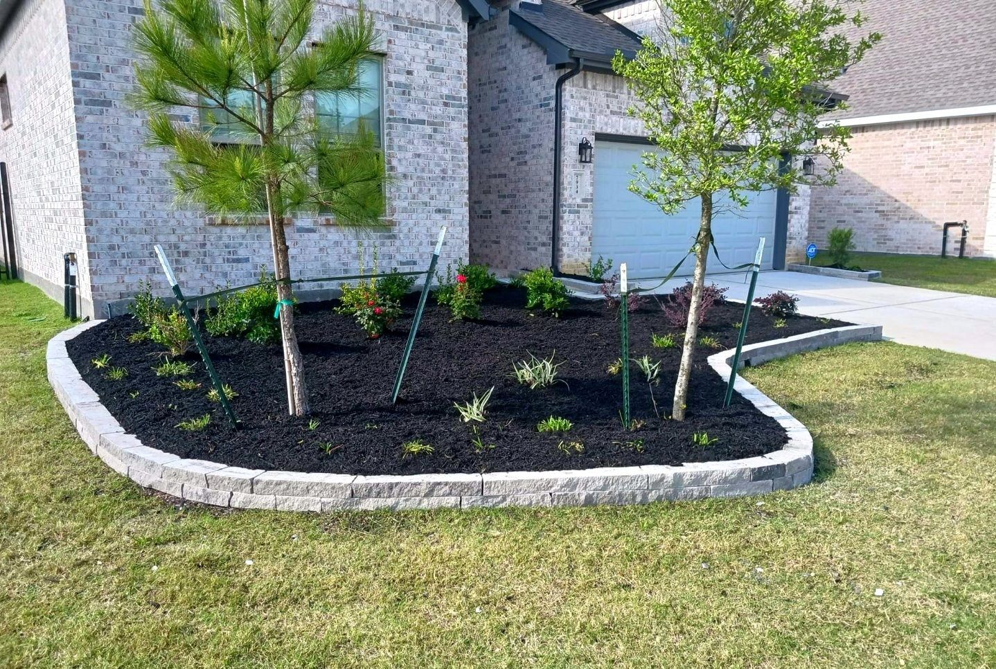 Tree Service Spring TX | Tree Planting Service | Texas Tree Care