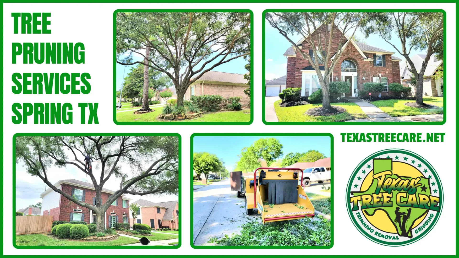Tree Pruning Spring TX | Texas Tree Care