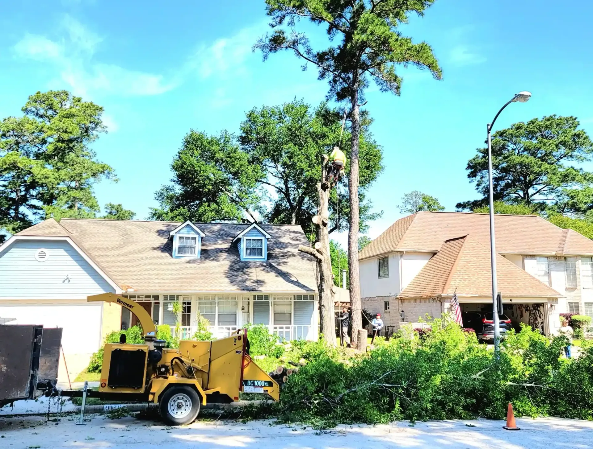 Tree Removal Spring TX | Texas Tree Care