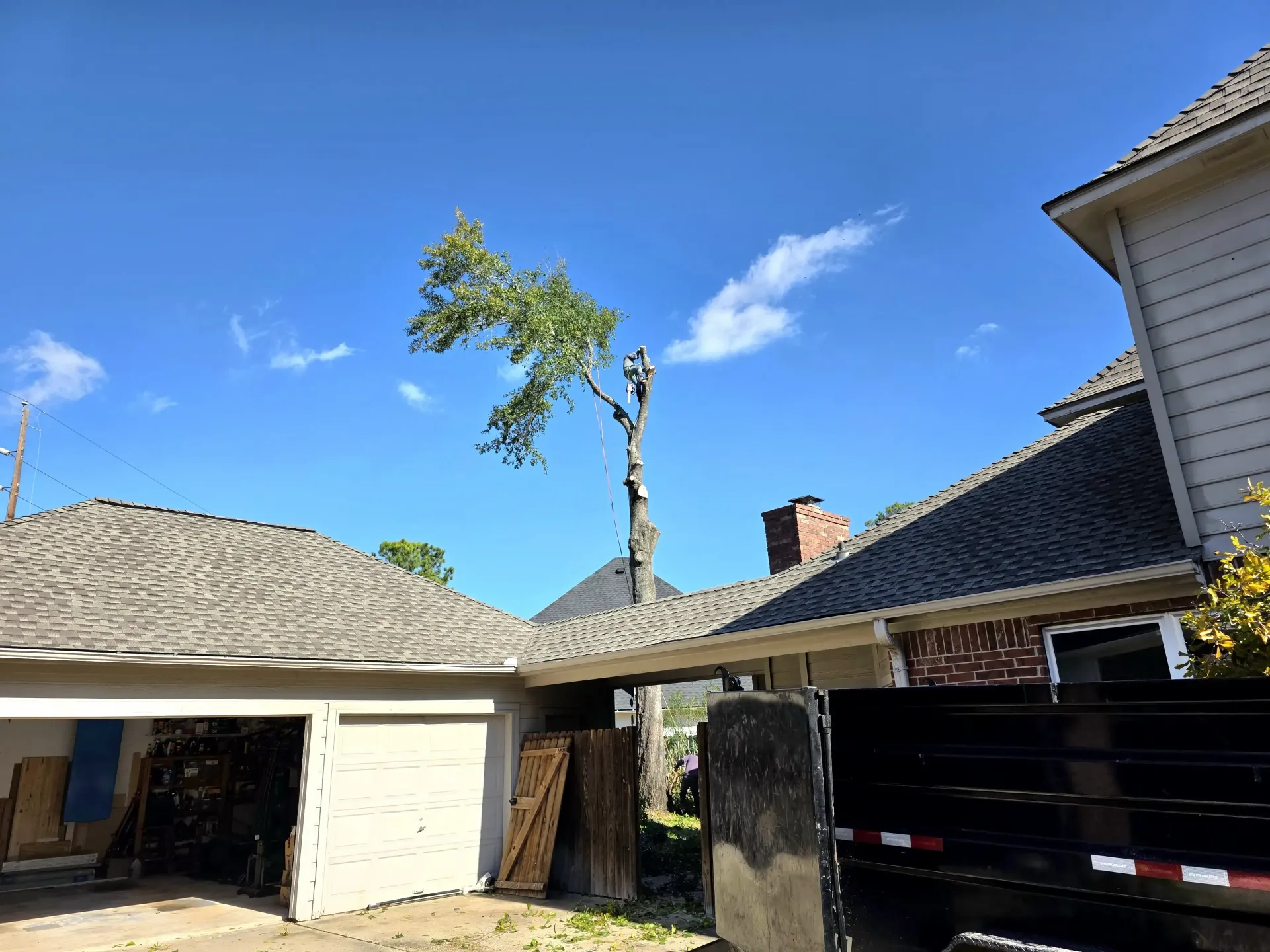 Tree Removal Conroe TX | Texas Tree Care
