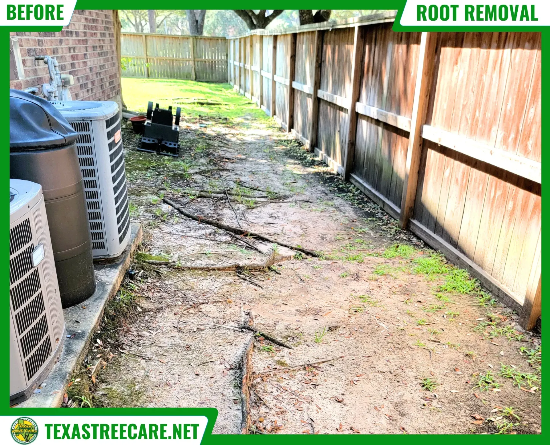 Spring Tree Root Removal - Before Results | Texas Tree Care