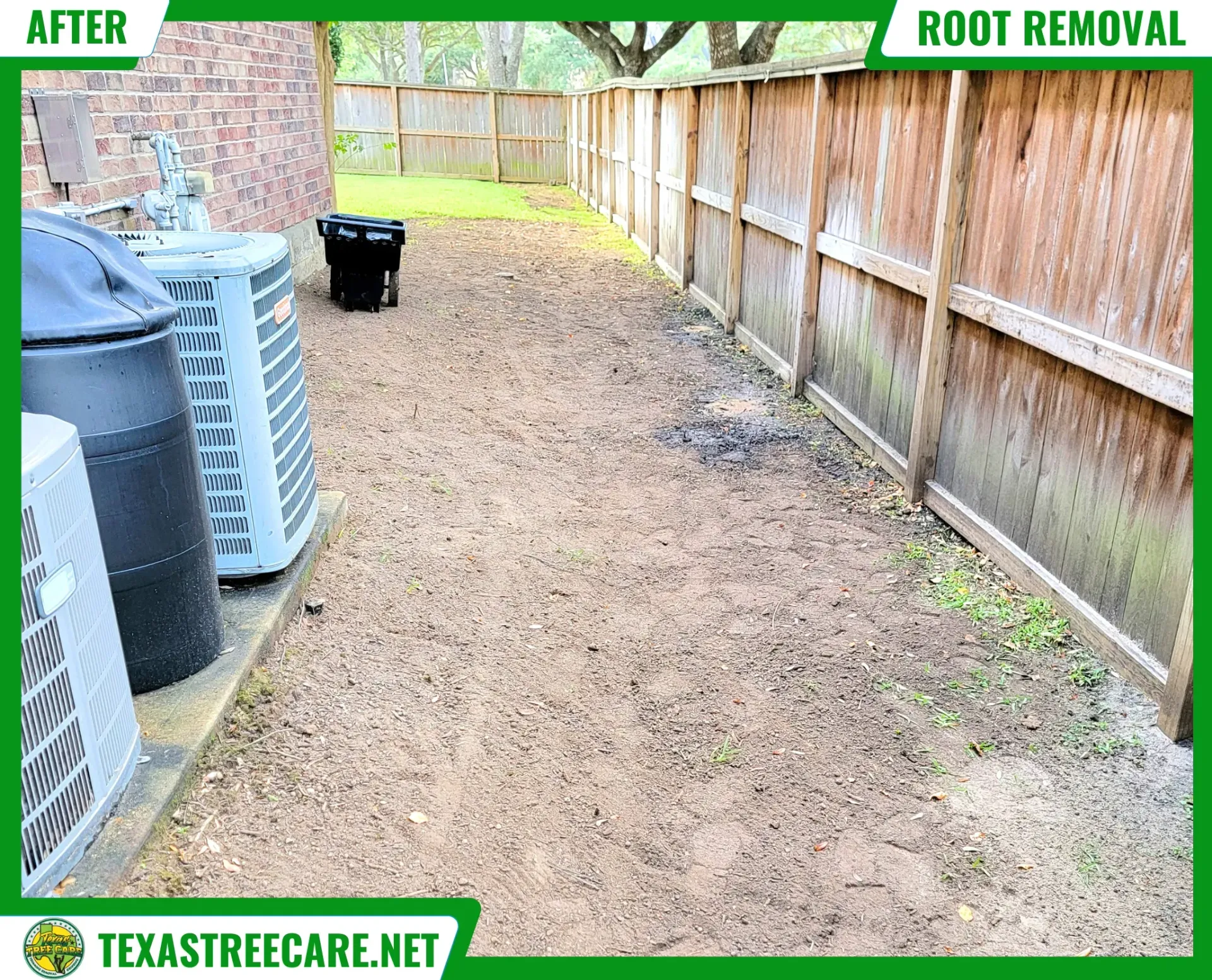Spring Tree Root Removal - After Results | Texas Tree Care