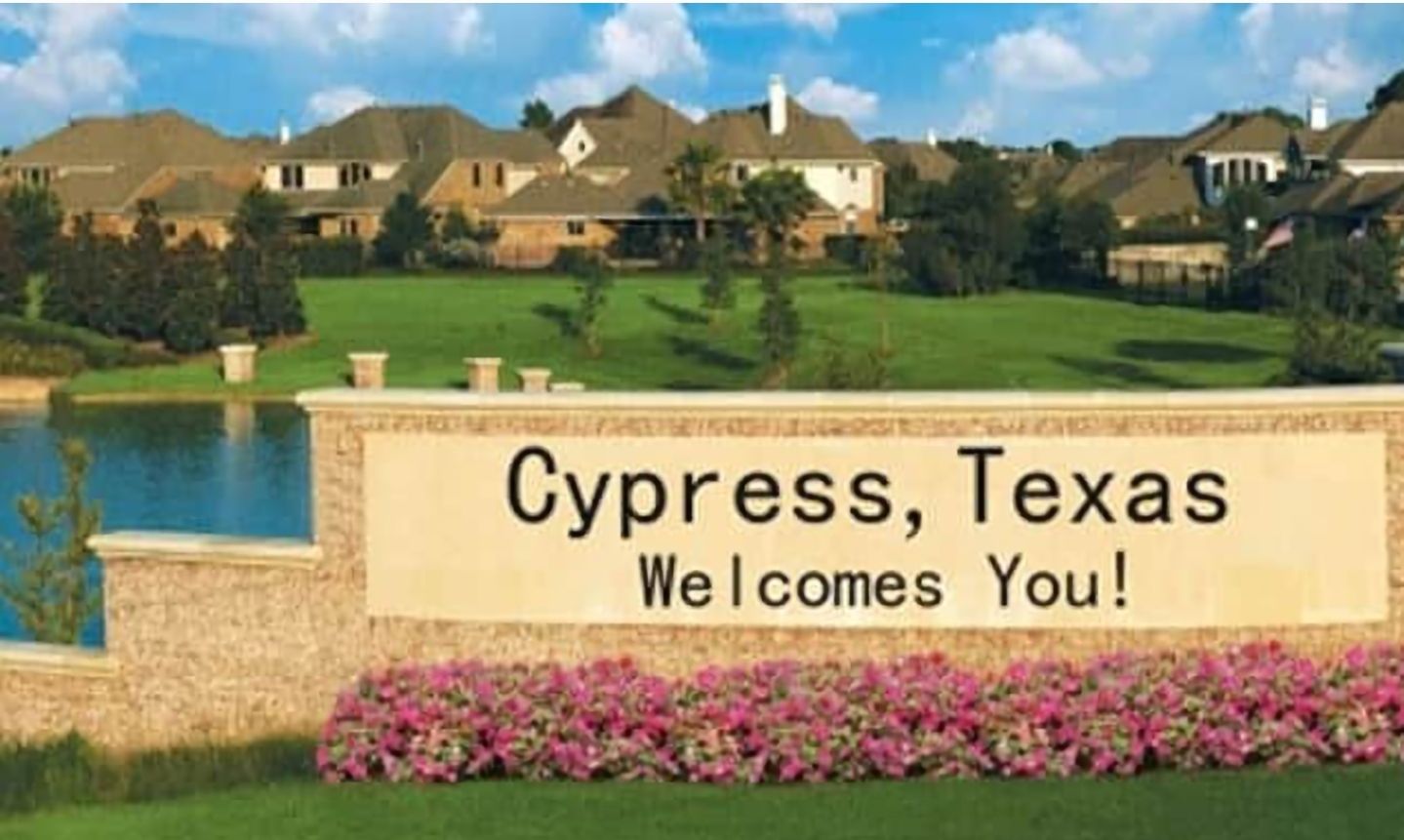 Tree Service in Cypress, TX | Texas Tree Care