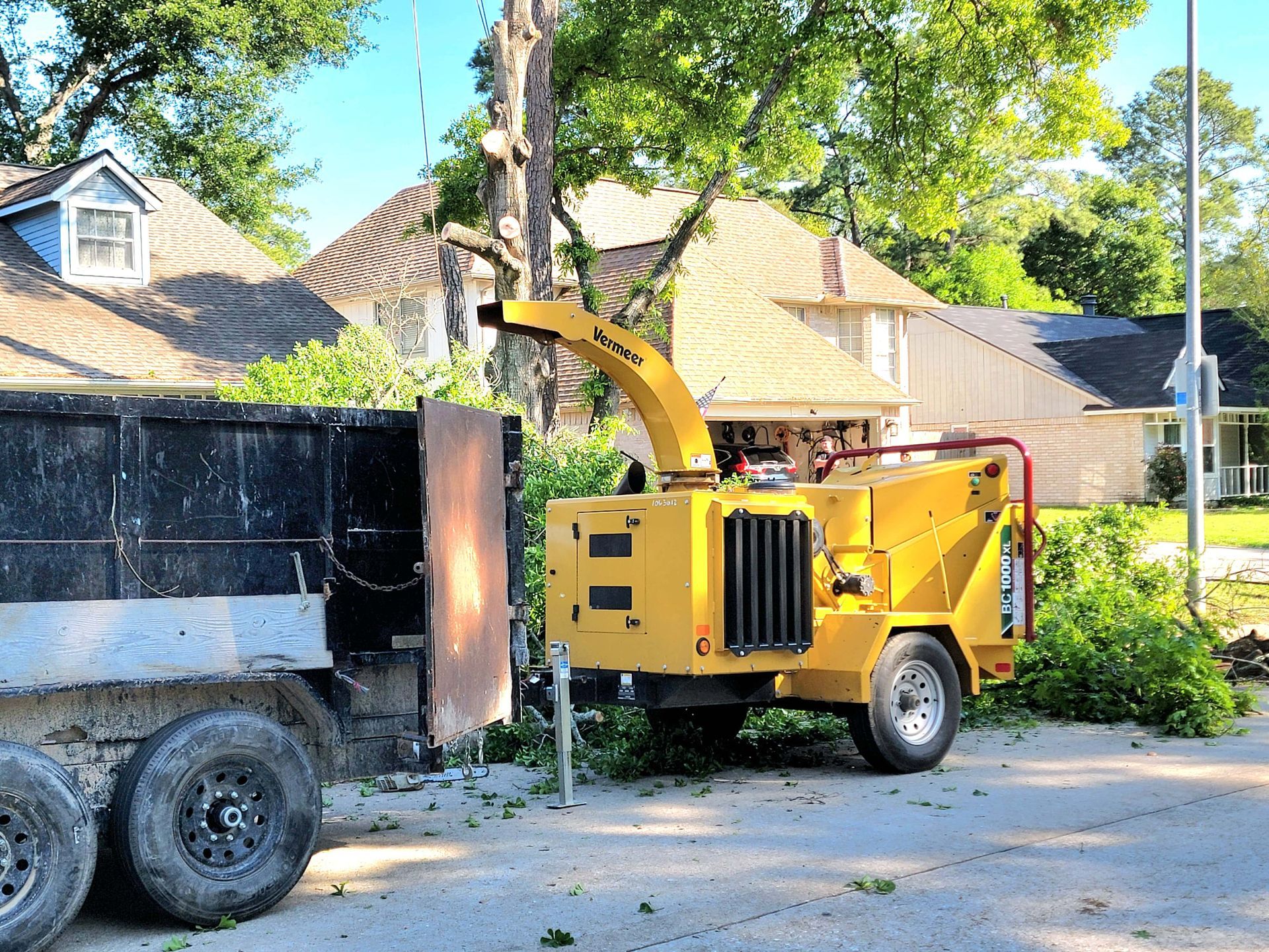 Tree Service Spring TX | Tree Removal | Texas Tree Care