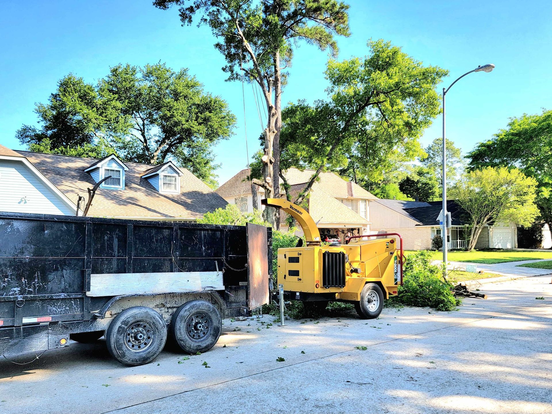 Tree Service Spring TX | Tree Removal