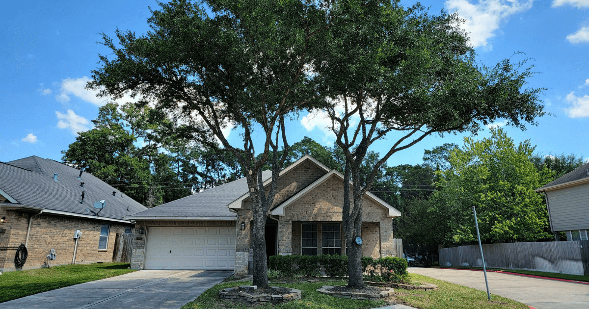 Tree Service in Cypress, TX Trimming Removal Stump Grinding