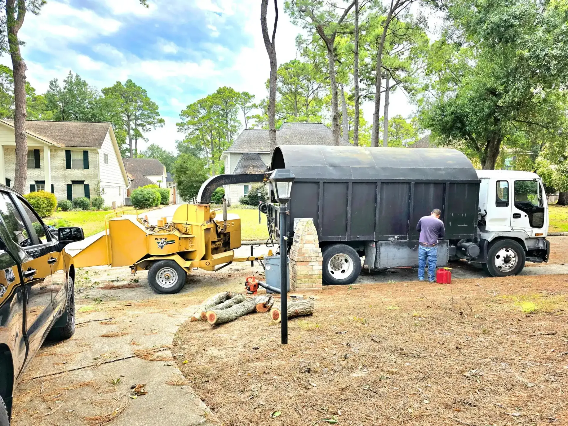 Tree Service in Shenandoah TX - Trimming and Removal | Texas Tree Care