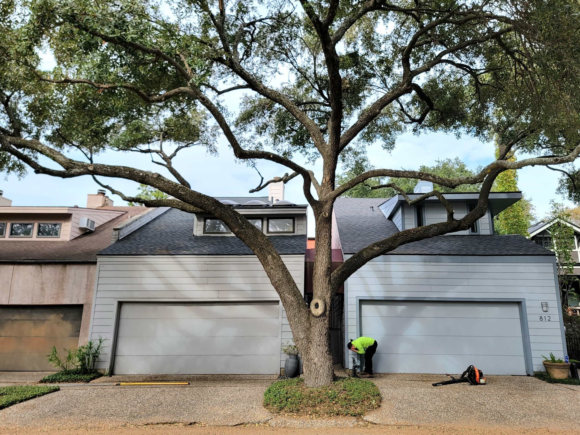 Houston Tree Trimming | Tree Trimming Service in Houston