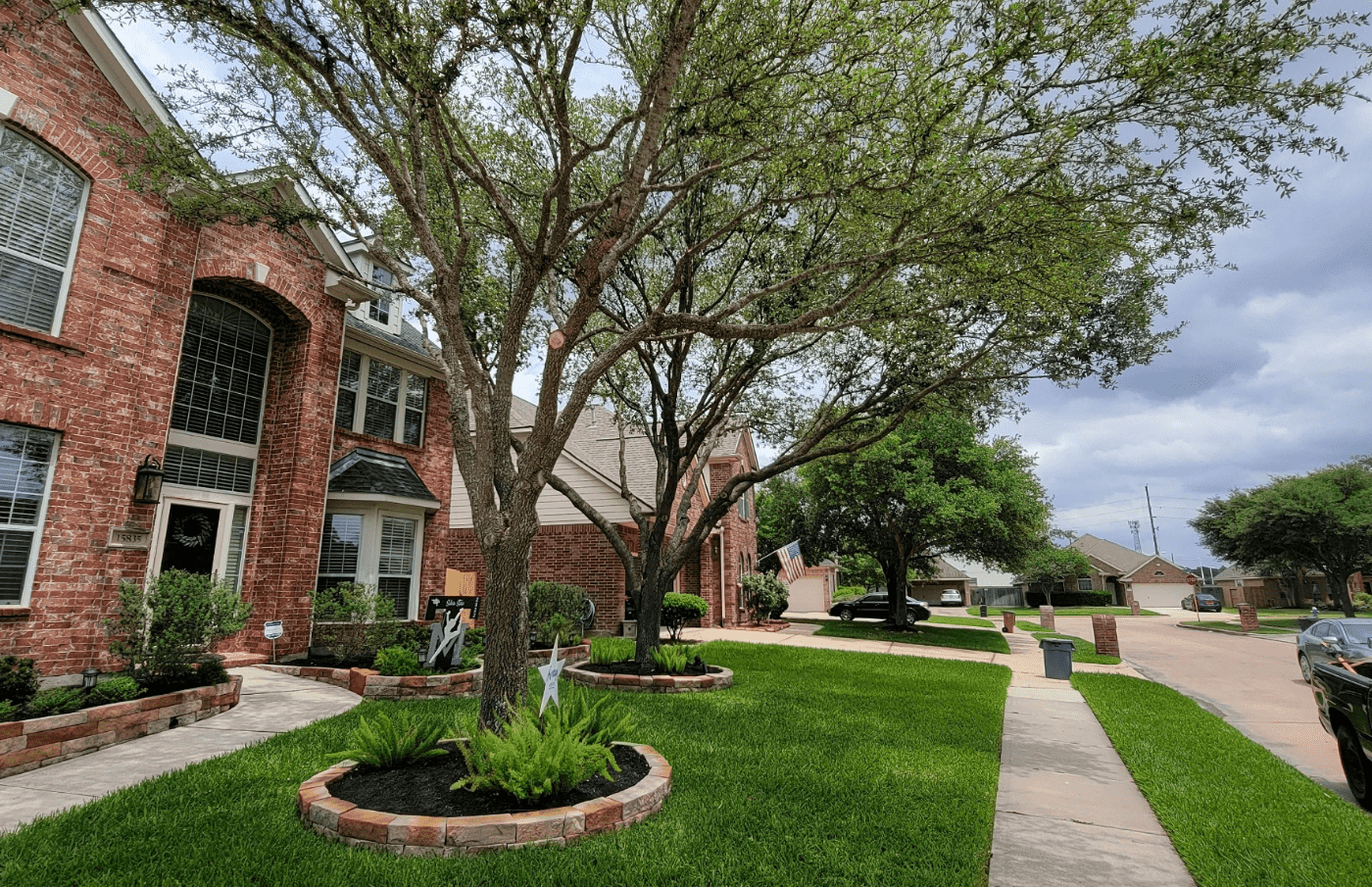 Tree Trimming Service Spring TX | Texas Tree Care