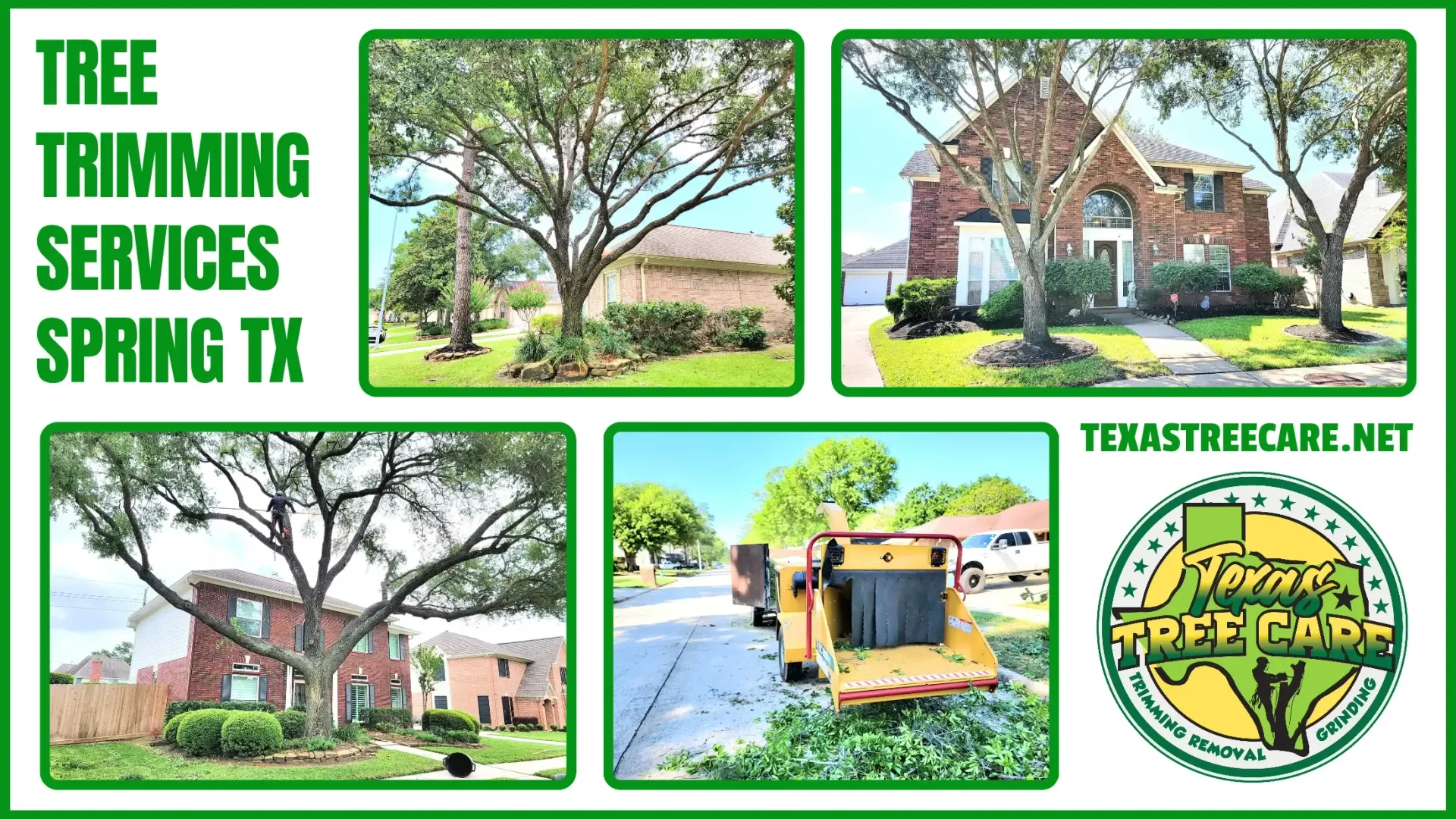 Tree Trimming Spring TX | Texas Tree Care