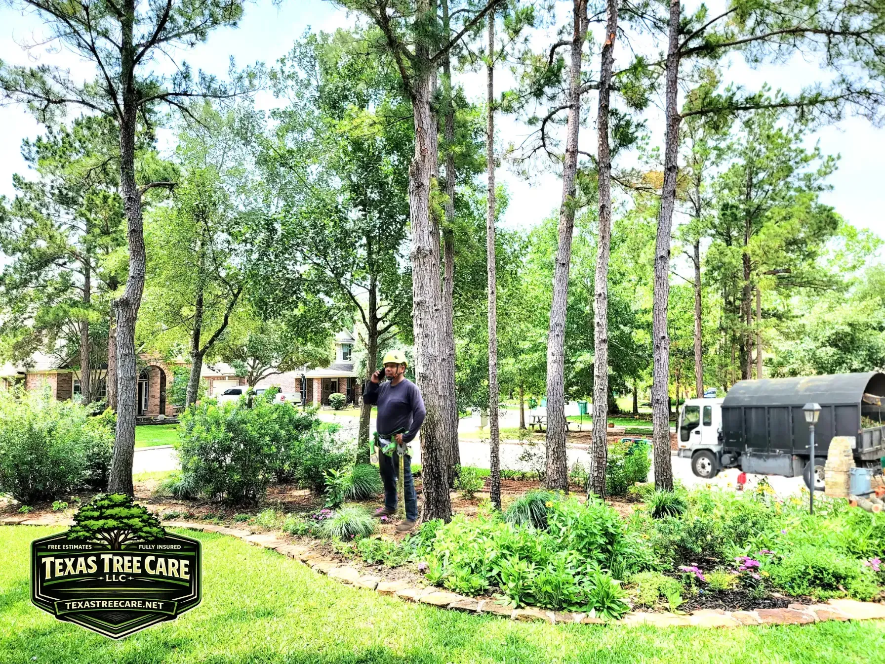 Tree Trimming The Woodlands TX | Texas Tree Care