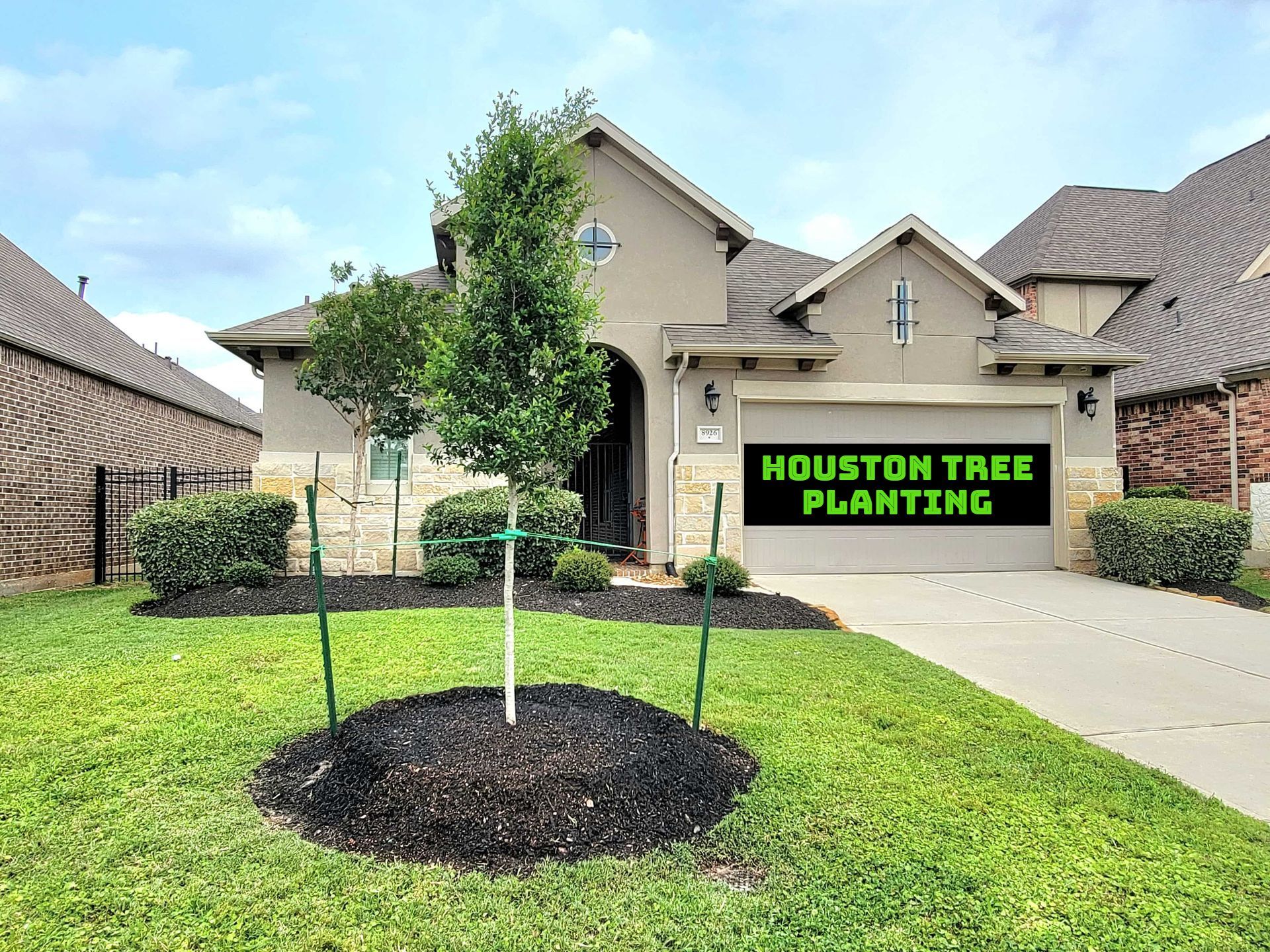 Houston Tree Planting - Replacing Dead Trees After Summer Droughts