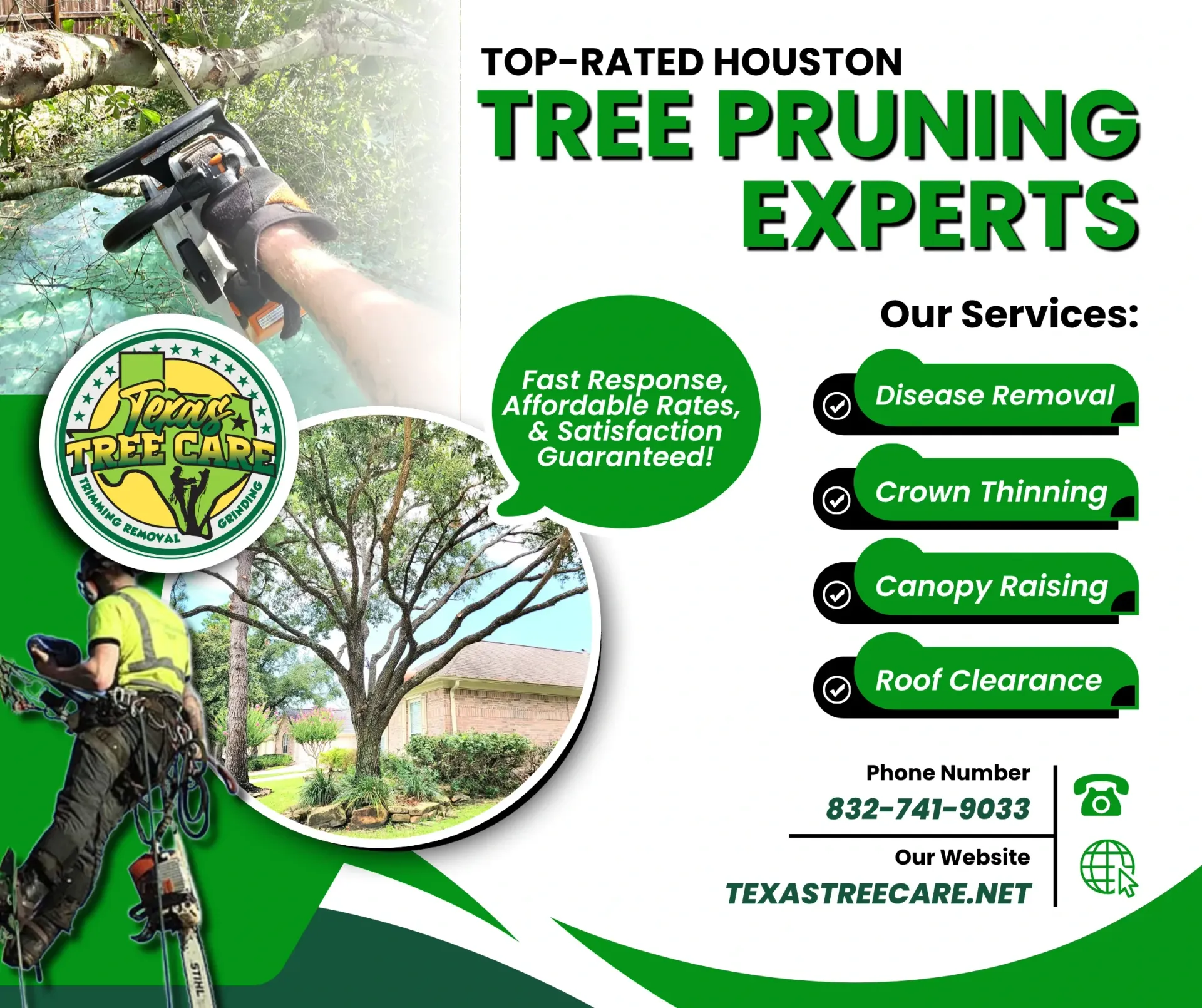 Tree Pruning Houston - Champion Forest | Latest Projects by Texas Tree Care