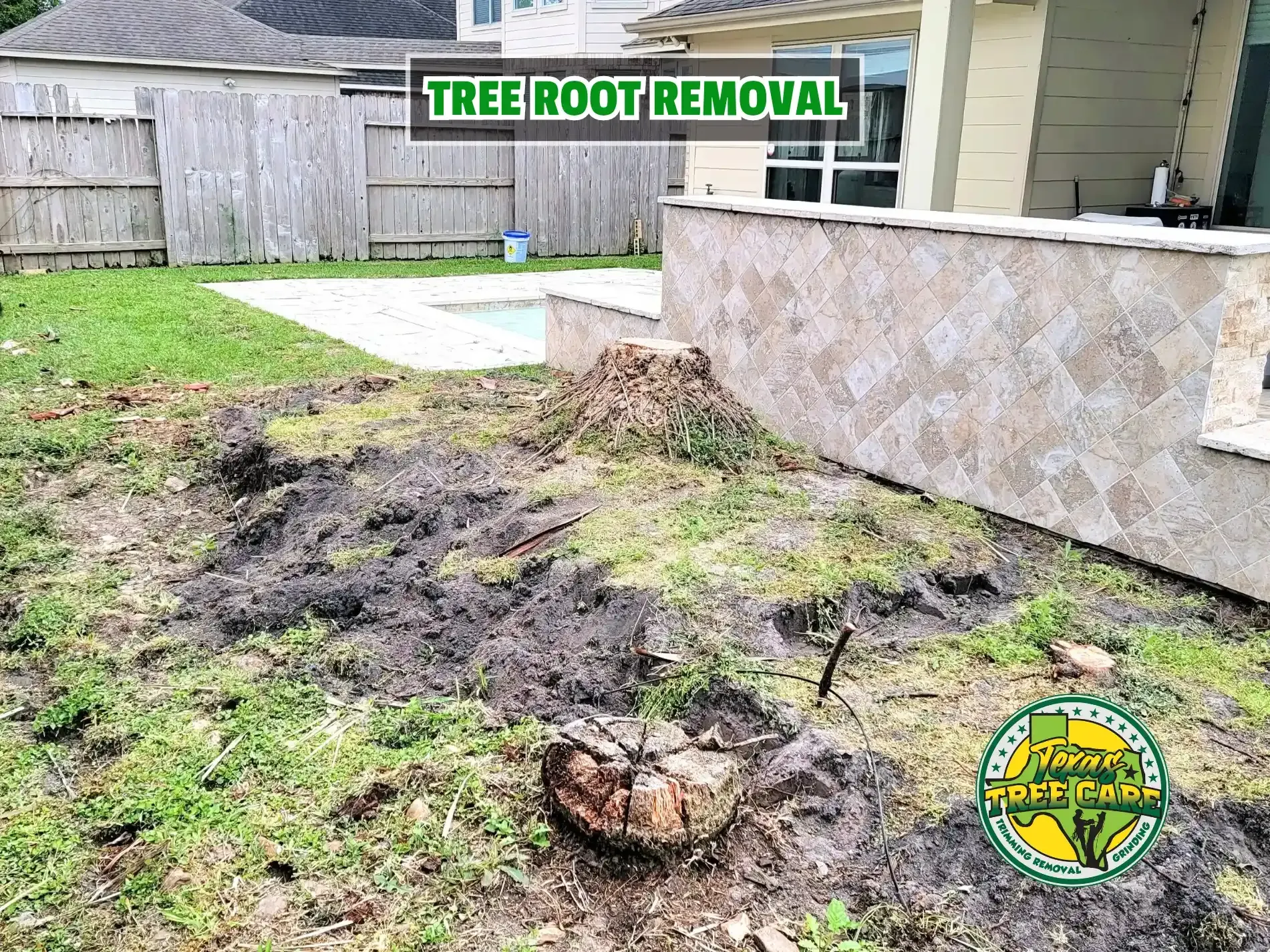 Tree Root Removal - Spring Tree Service