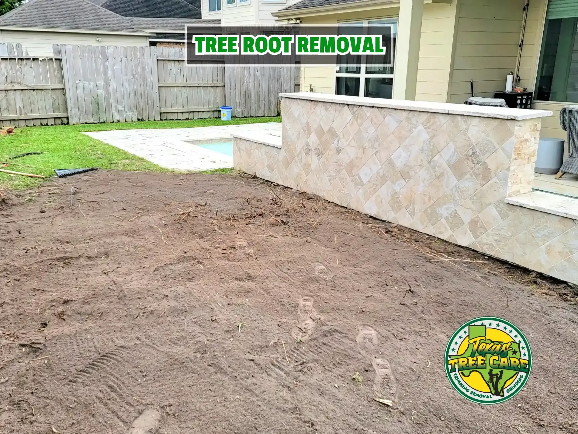 Tree Root Removal - Spring Tree Service