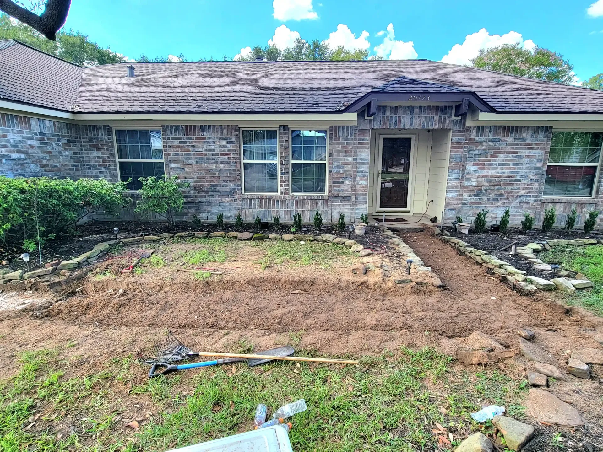 Tree Root Removal in Spring TX | Texas Tree Care