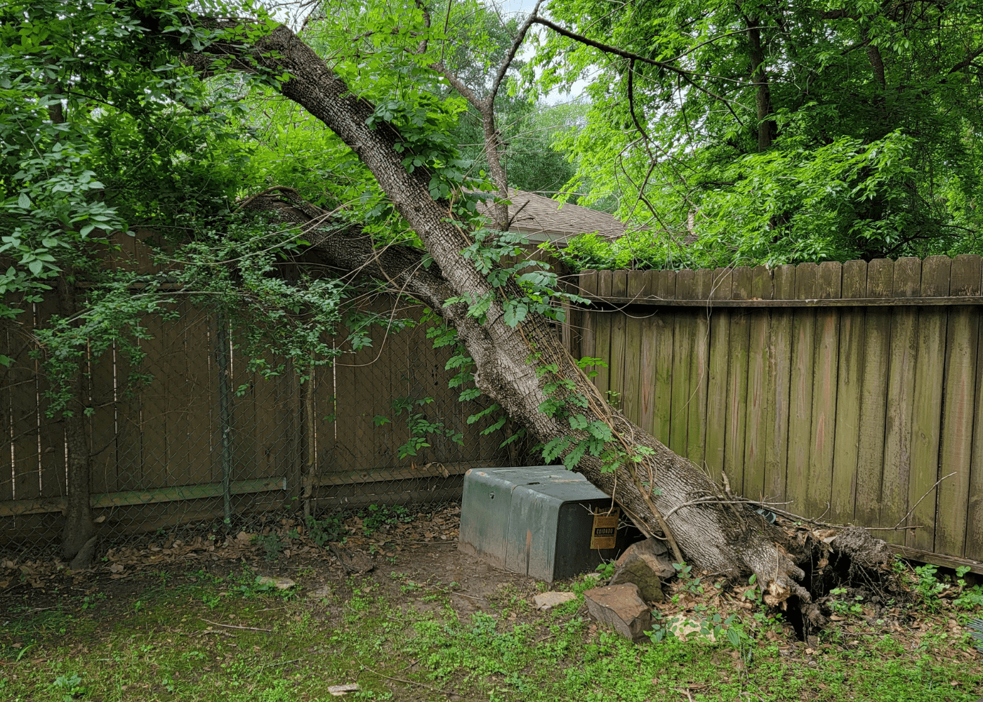 A fallen tree on a fence looking for a tree service near me by Texas Tree Care