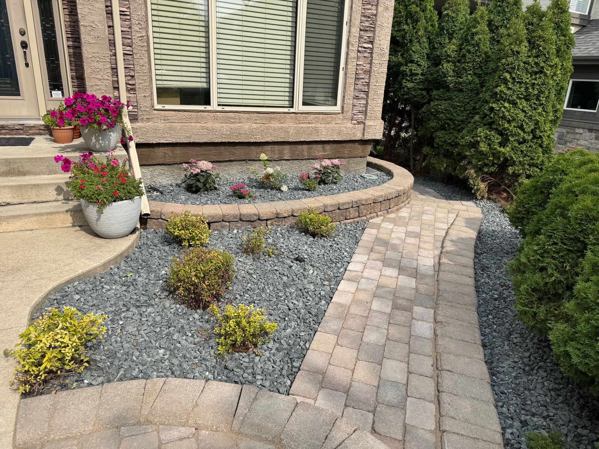 A white spray wand targets a yellow dandelion flower in a green grass lawn.