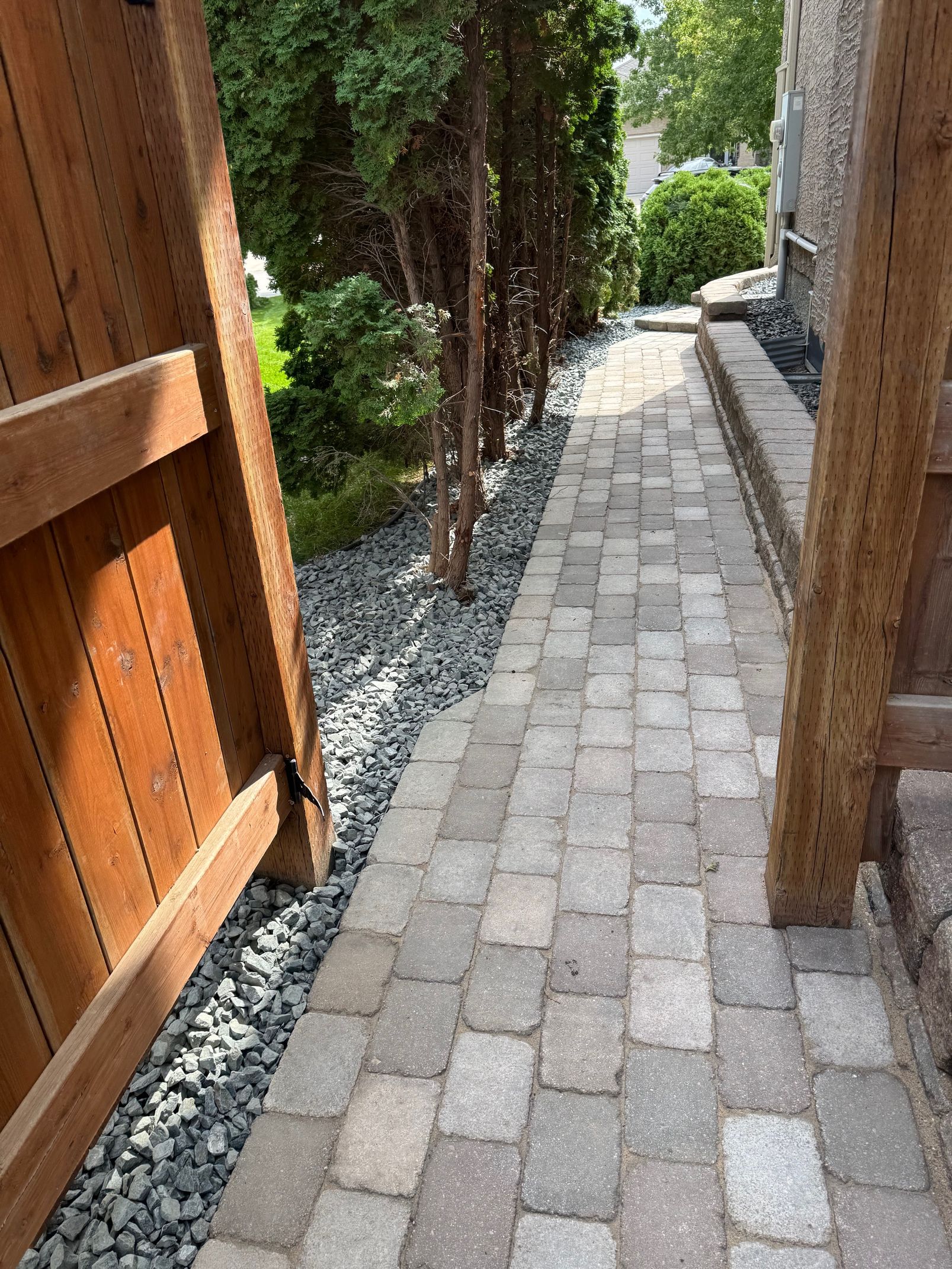 A stone paver path winds through a garden with low, spreading evergreen shrubs and mature trees in the background.