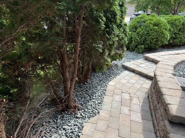A stone-paved walkway bordered by a curved retaining wall and a hedge of trees on a bed of gray gravel.