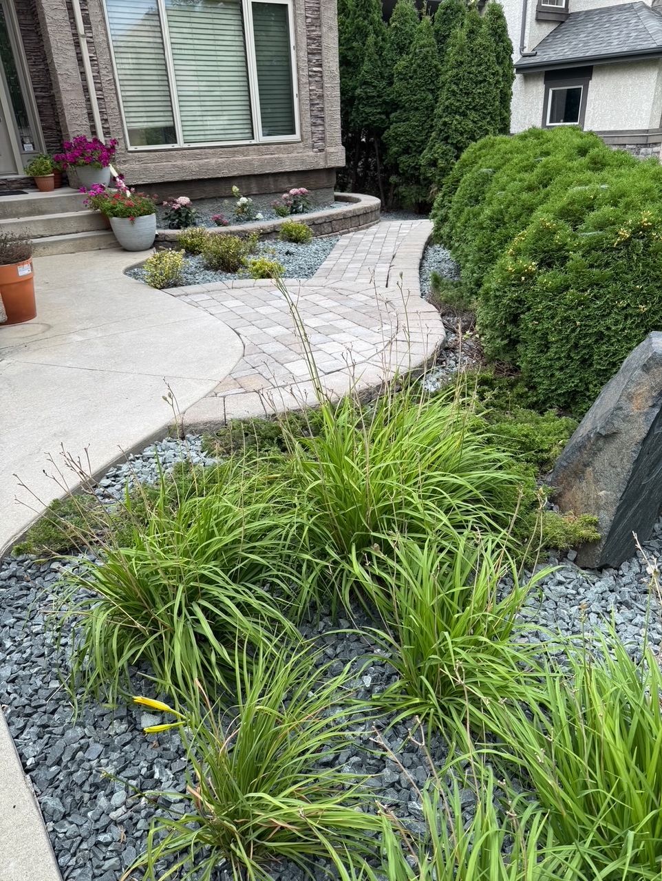 A stone path winds through a front yard garden with green perennials, grey gravel mulch, and a house in the background.
