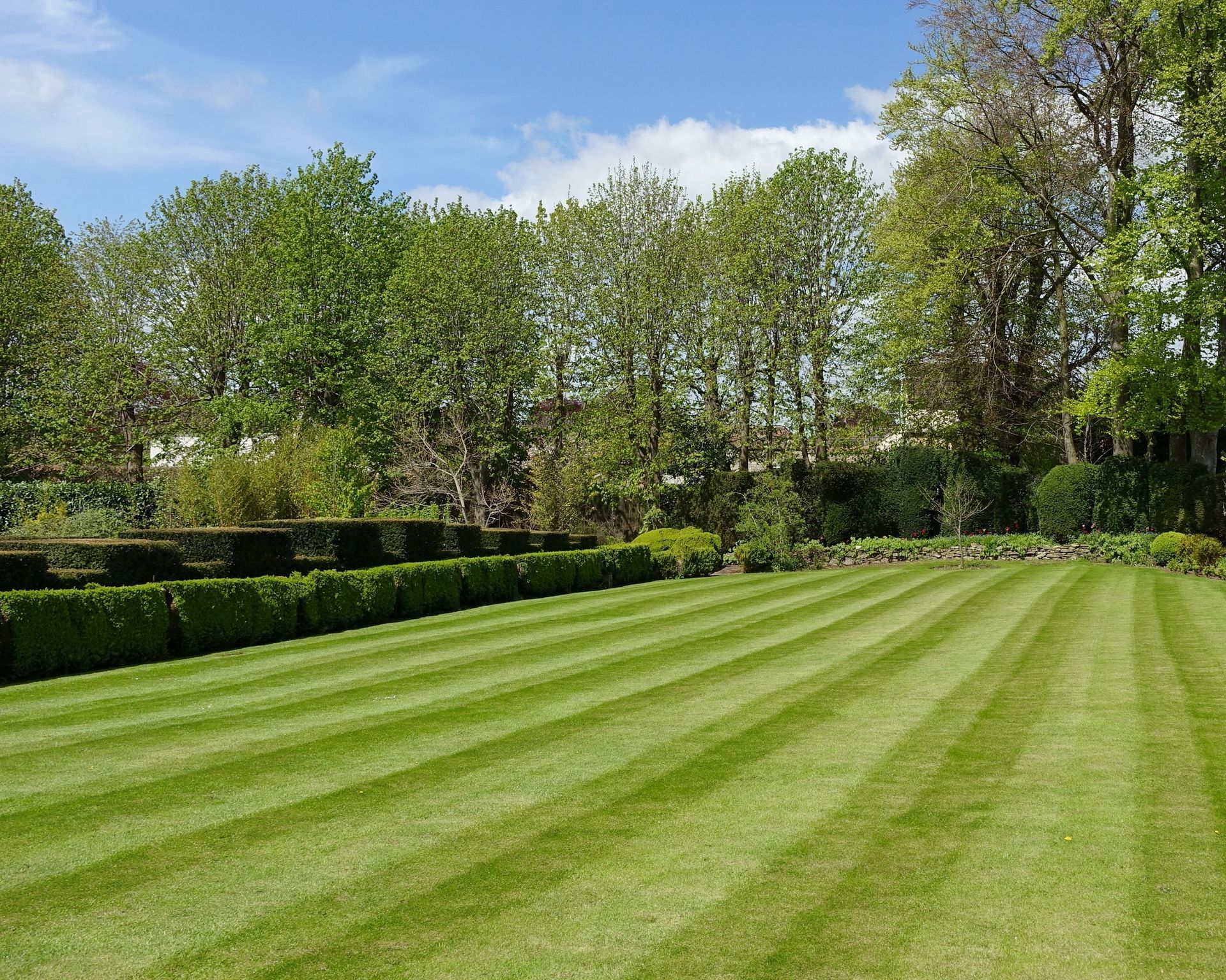An orange and black weed trimmer with a harness and a spray bottle lying on a neatly mowed green lawn.