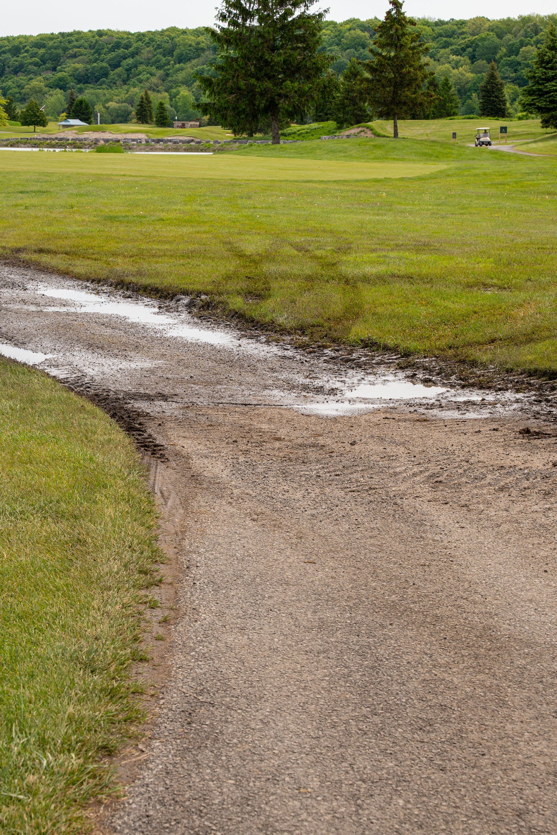 A muddy dirt road going through a grassy field.