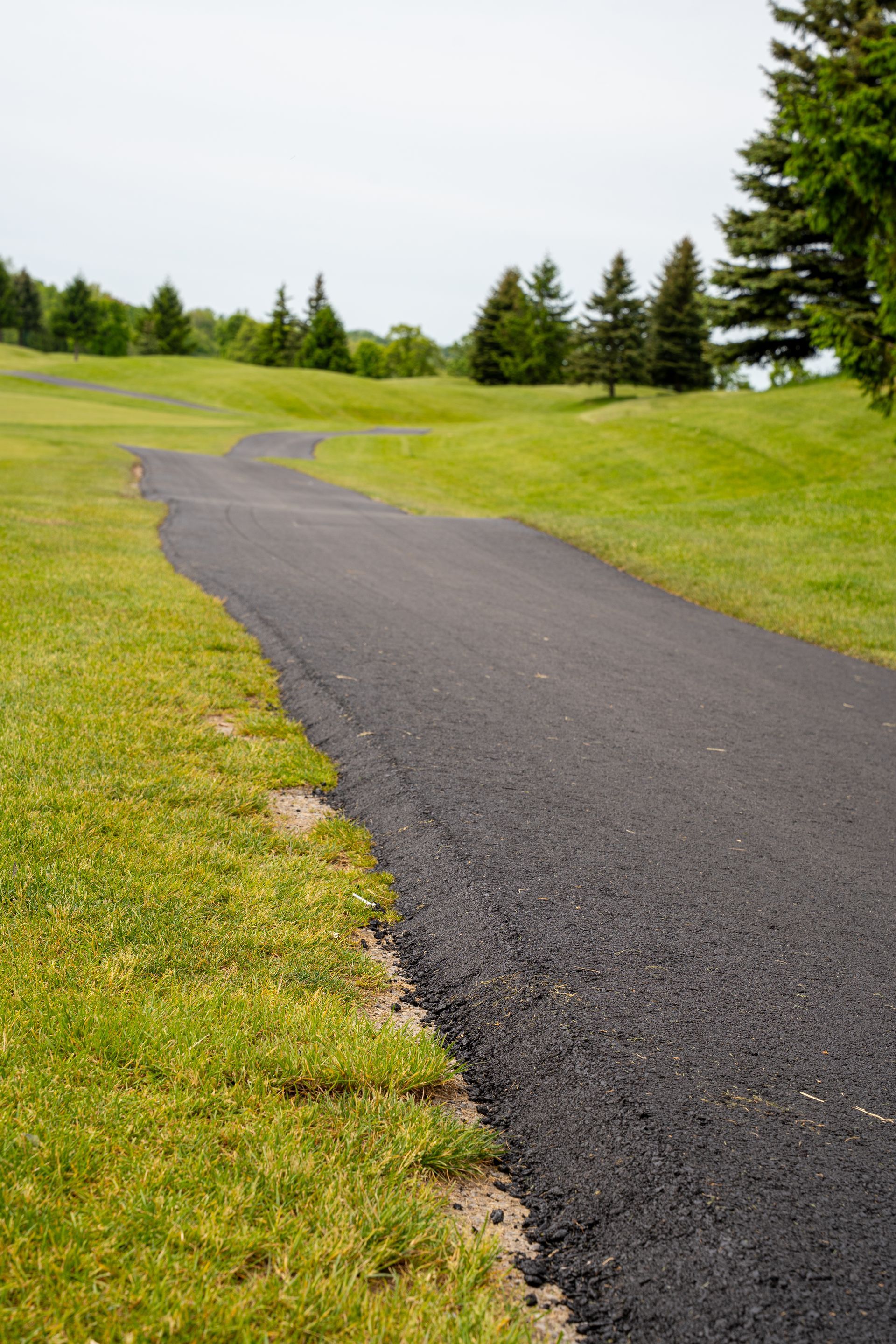 A path going through a grassy field with trees in the background.