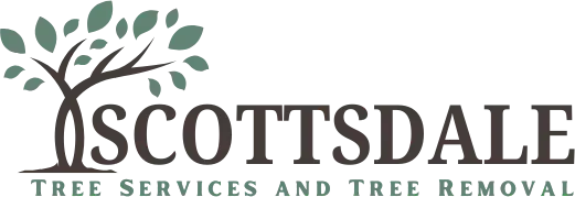 Logo for Scottsdale Tree Services and Tree Removal with a tree graphic.