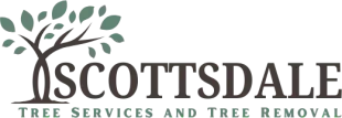Logo for Scottsdale Tree Services and Tree Removal with a tree graphic.