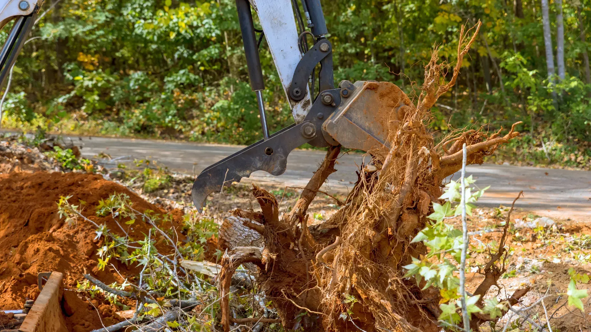 Bobcat removing a tree stump, roots exposed, in a dirt area with a road and trees visible.