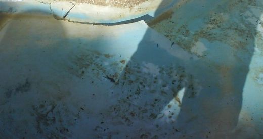 Cracked and discoloured pool needed repair and renovation
