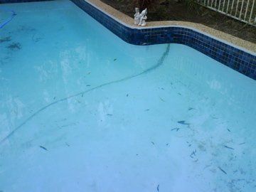View of concrete pool being fibreglass pool with cracks renovation