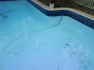 View of concrete pool being fibreglass pool with cracks  renovation