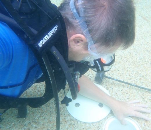 Specialist underwater for valve replacement 