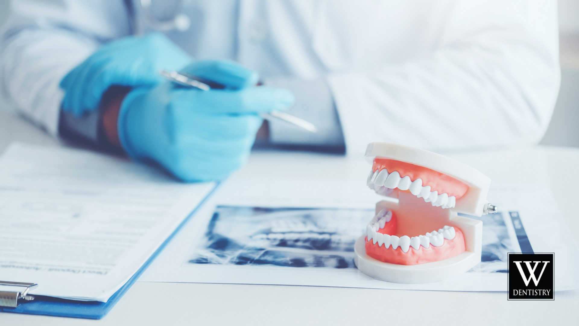 A dentist is examining a model of teeth on a table.