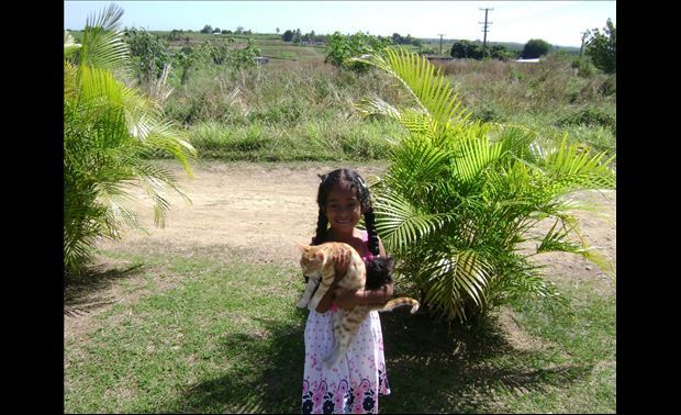 Fiji Aid International gallery