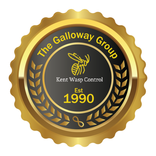 The Galloway Group, Kent Wasp Control, Est 1990