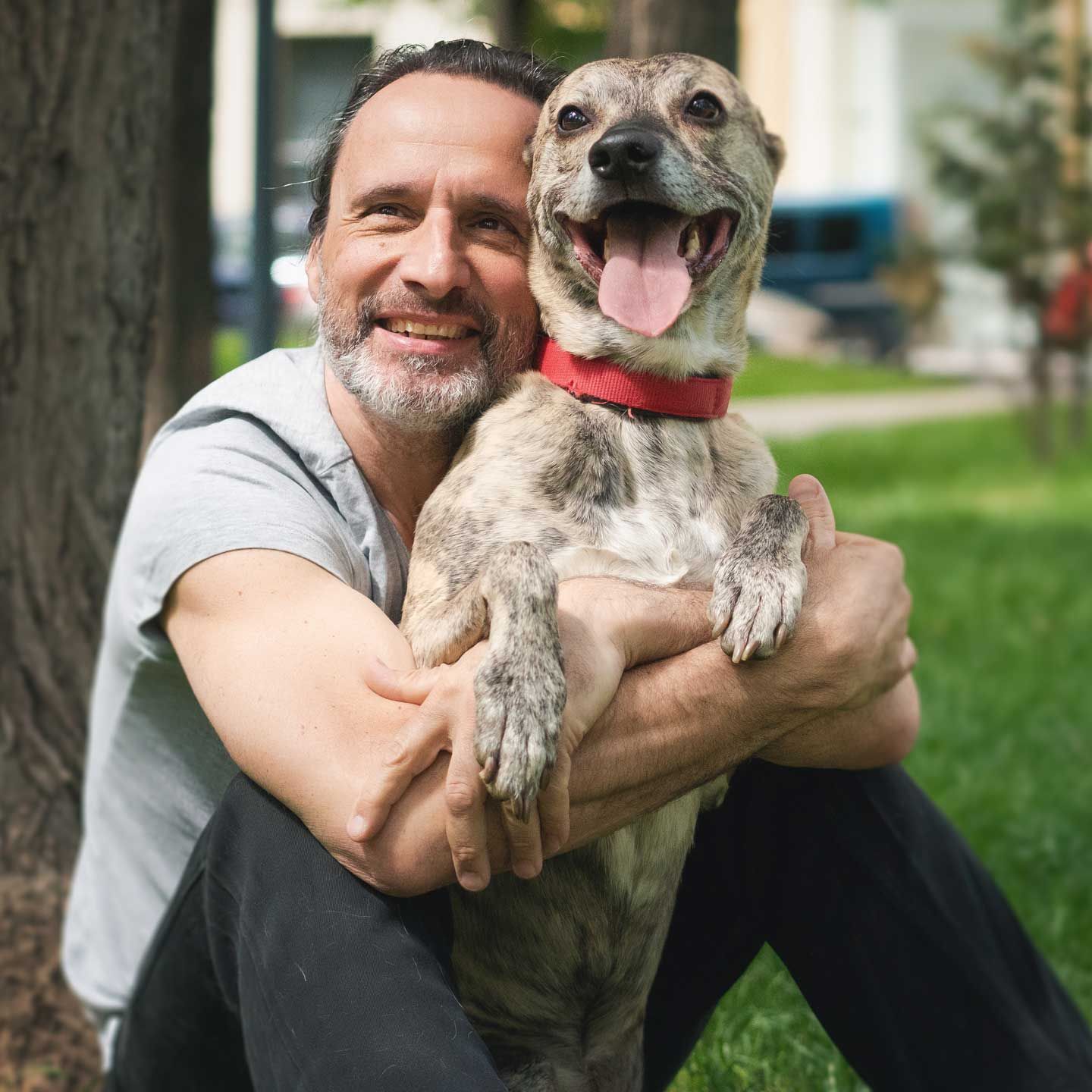 Man smiling, hugging a happy dog outdoors. The dog has a red collar and its tongue is out. Man smiling, hugging a happy dog outdoors. The dog has a red collar and its tongue is out.