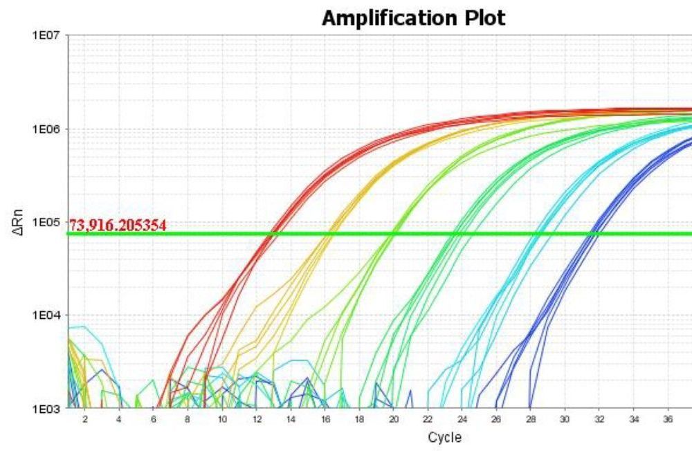 Example amplification plot graph