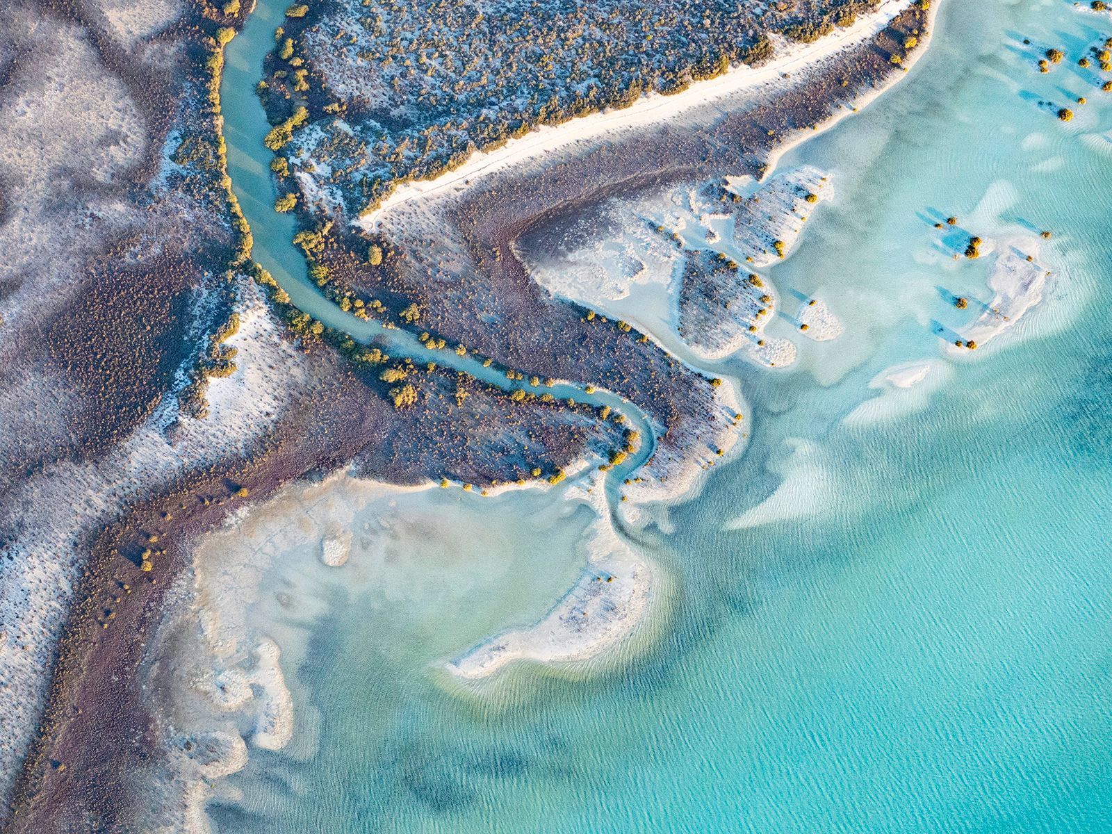 Aerial view of tidal dunes and water inlet Shark Bay Western Australia