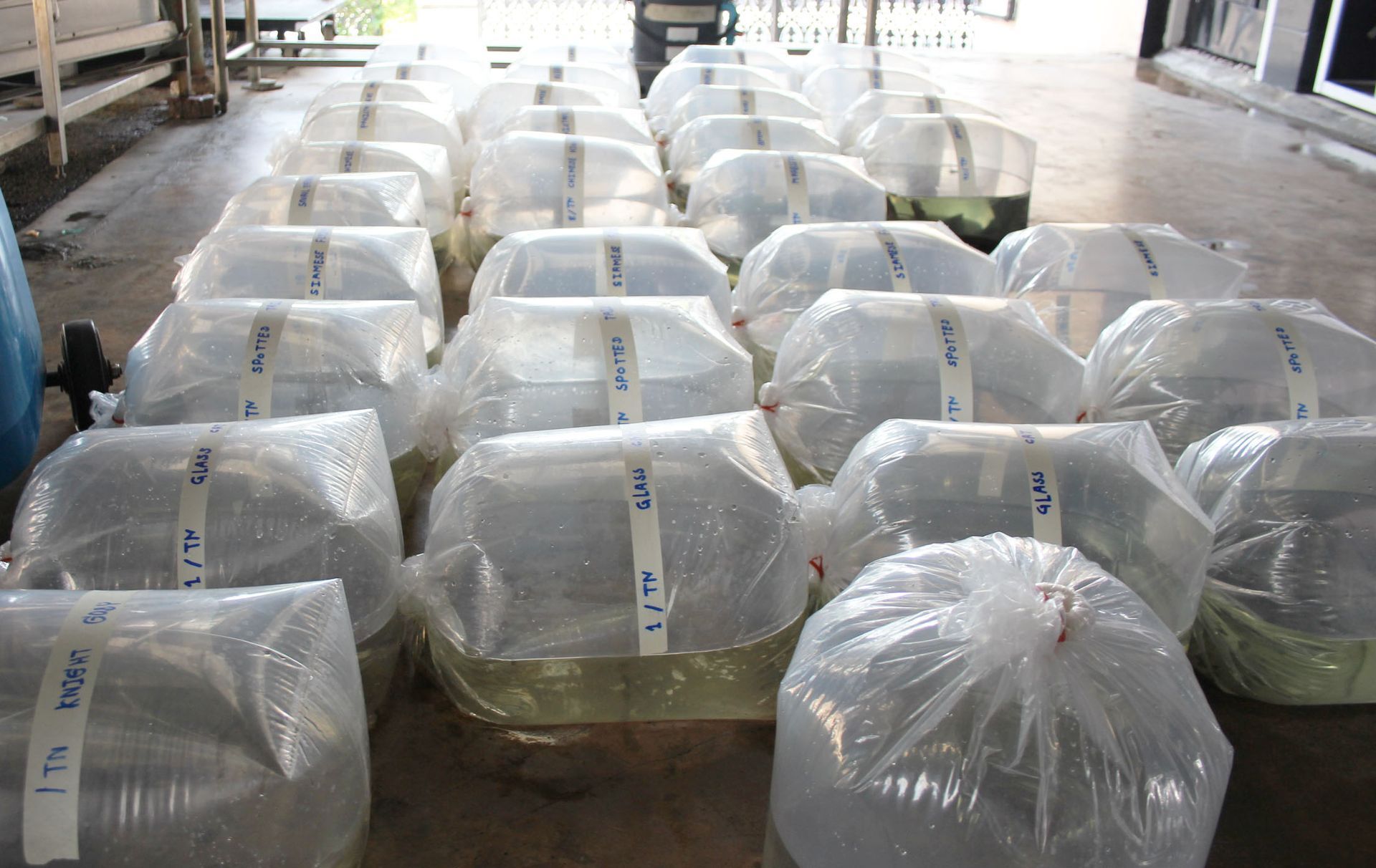 Samples bagged for testing