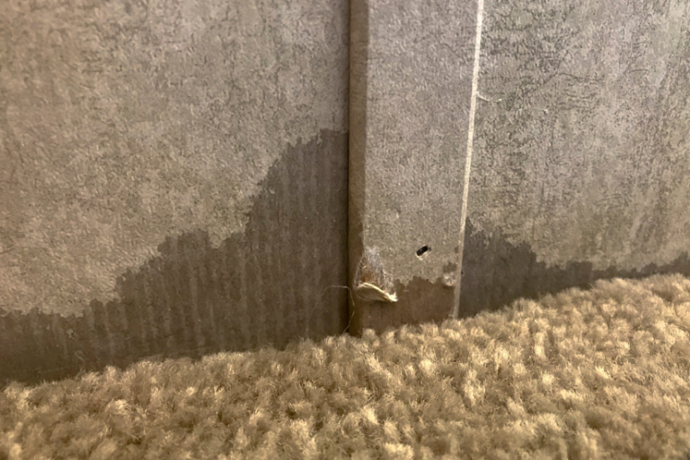 A close up of a corner of a wall next to a carpet.
