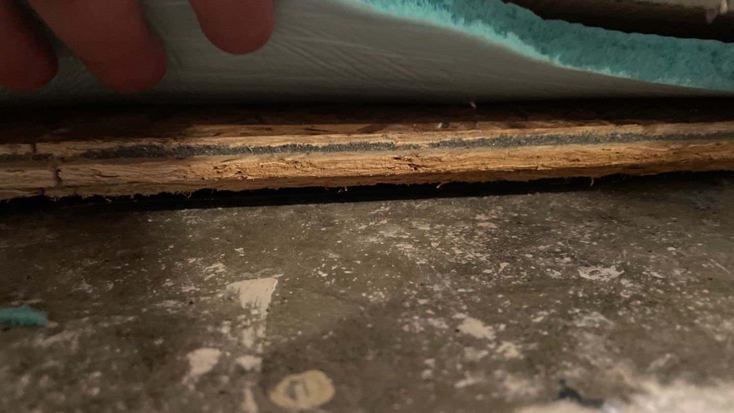 A person is holding a piece of wood on top of a concrete floor.