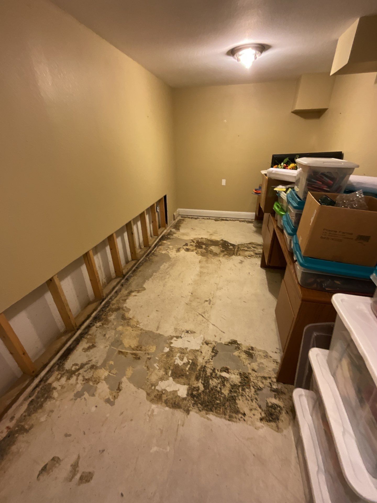 A room with a ladder and boxes on the floor.