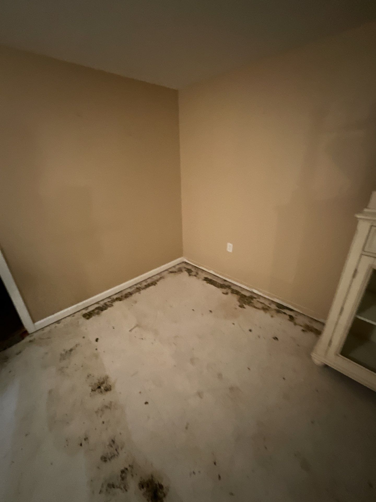 A living room with a dirty carpet and a fireplace.