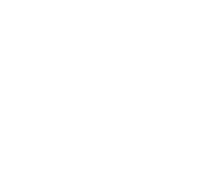 Icone plats chinois sans gluten et végétariens