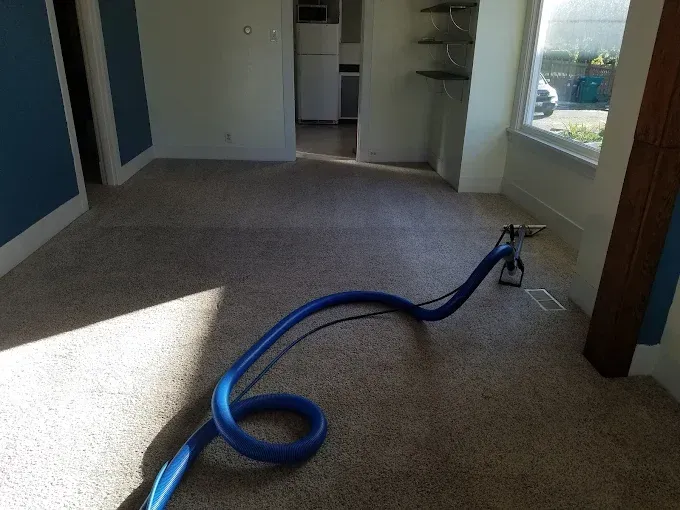 Blue vacuum hose on carpet, room being cleaned, natural light.