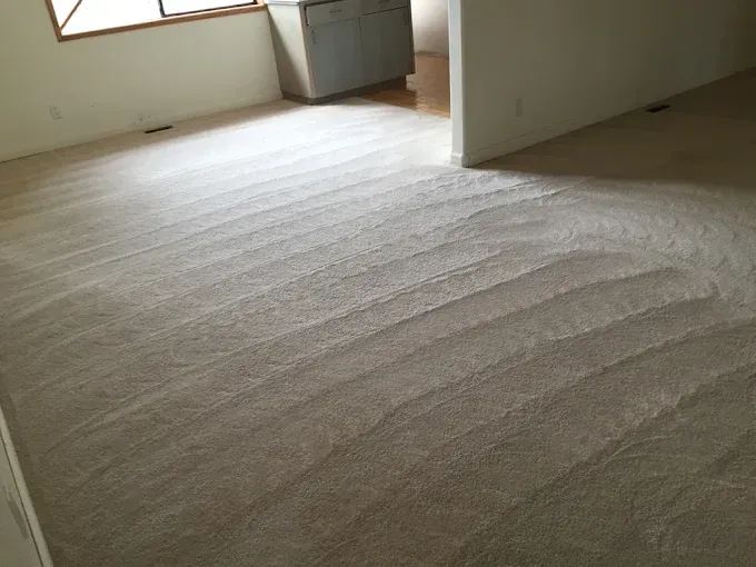 Beige carpet in a room, with visible cleaning streaks, near a cabinet and doorway.